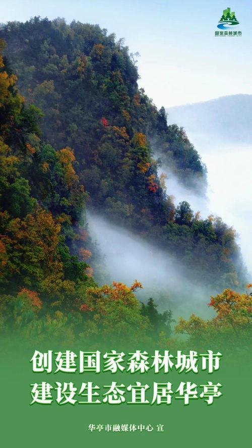 平涼市政協調研華亭市非遺保護利用及助推文旅融合發展工作 軟件開發及技術推廣