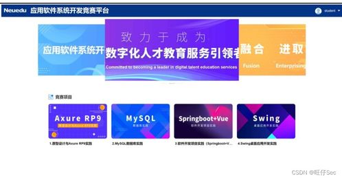 2023年四川省職業院校技能大賽高職組應用軟件系統開發賽項樣題解析與軟件開發技術推廣
