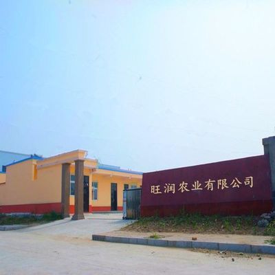 旺潤肥料廠家 專業有機肥與水溶肥定制加工，創新驅動農業未來